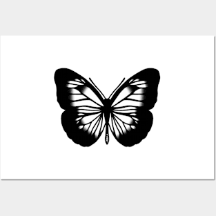 Butterfly Posters and Art